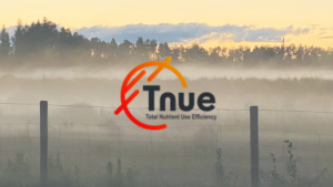 Taupo Business Chamber Ba5 Tnue