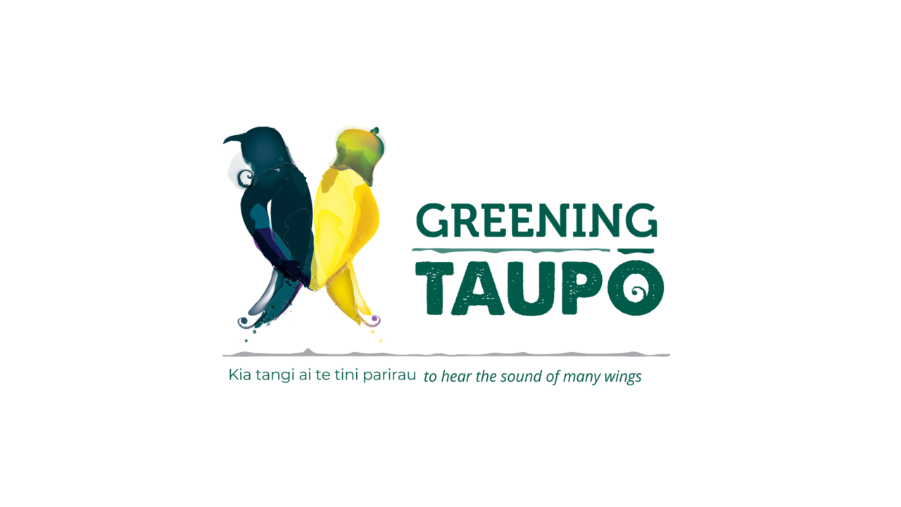 Greening Taupo (2)