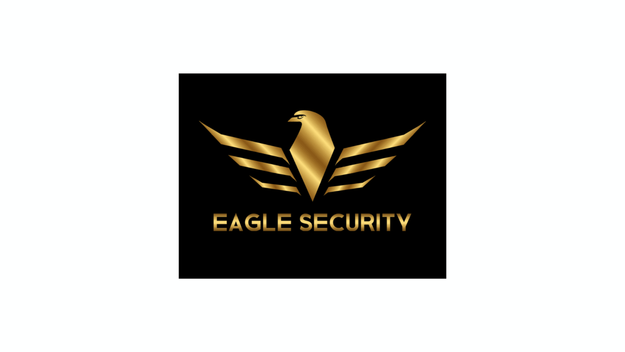 Eagle Security logo