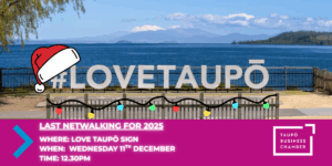 Netwalking Xmas (still)